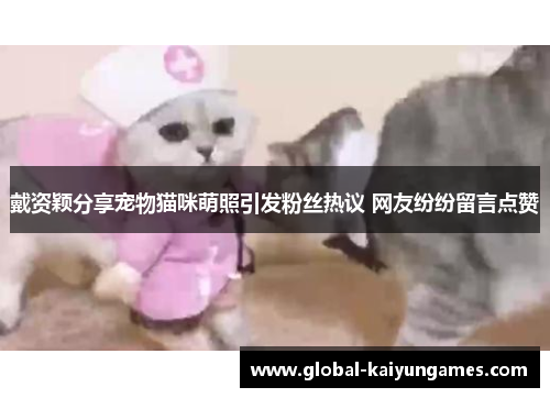 戴资颖分享宠物猫咪萌照引发粉丝热议 网友纷纷留言点赞