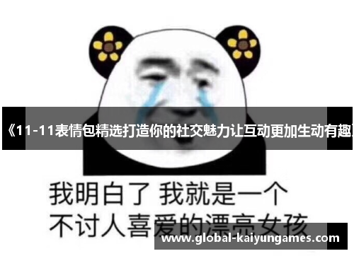 《11-11表情包精选打造你的社交魅力让互动更加生动有趣》