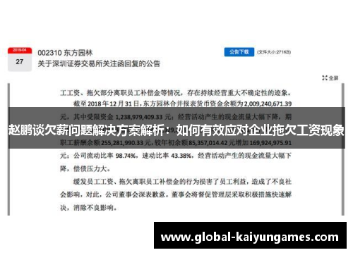 赵鹏谈欠薪问题解决方案解析：如何有效应对企业拖欠工资现象